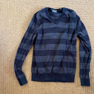 Express V neck sweater